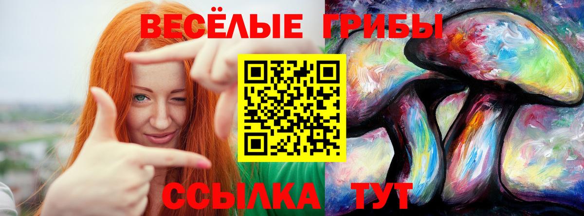 наркошоп  Вход с VPN  Иваново  Псилоцибиновые грибы мухоморы  Псилоцибиновые грибы прущие грибы 